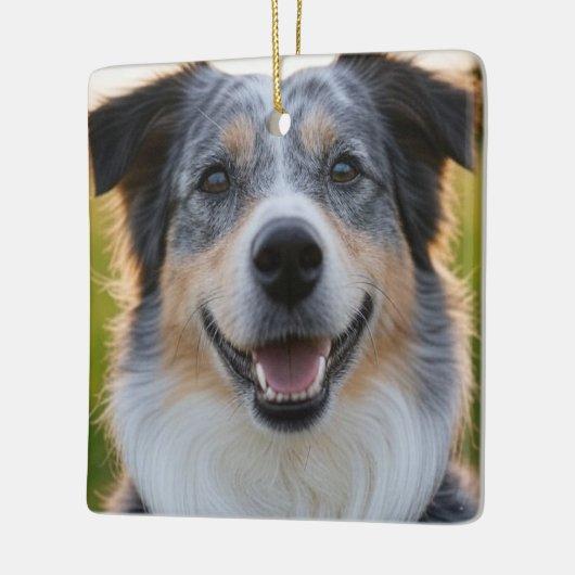 Foto hinzufügen Anpassen Keramikornament (Links)