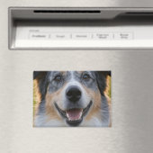 Foto hinzufügen Anpassen Magnet (In Situ (Geschirrspüler))