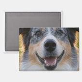 Foto hinzufügen Anpassen Magnet (Vorderseite/Rückseite)