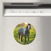 Foto hinzufügen Anpassen Magnet (In Situ (Geschirrspüler))