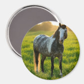 Foto hinzufügen Anpassen Magnet (Vorderseite/Rückseite)