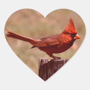 FOTO HINZUFÜGEN Herz-Aufkleber