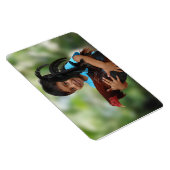 FOTO HINZUFÜGEN MAGNET (Rechte Seite)