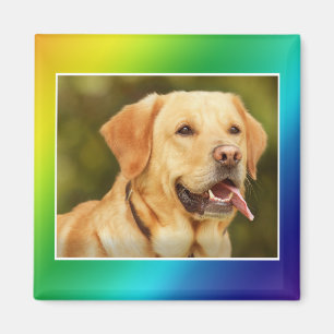 FOTO HINZUFÜGEN MAGNET