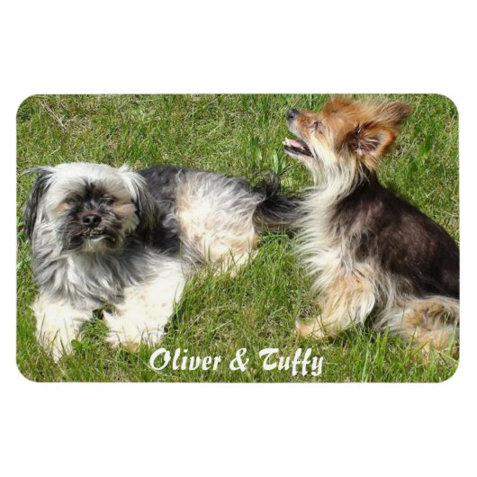 Foto hinzufügen magnet (Horizontal)