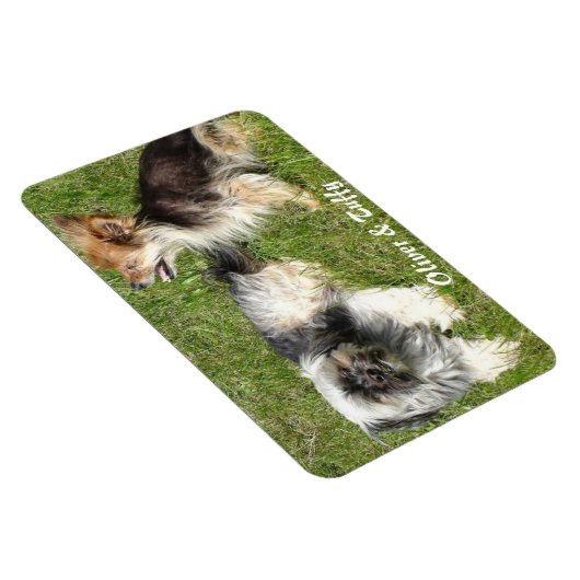 Foto hinzufügen magnet (Rechte Seite)