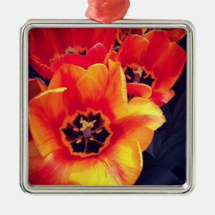 Foto hinzufügen silbernes ornament