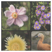 Foto hochladen stoff (Nahaufnahme)