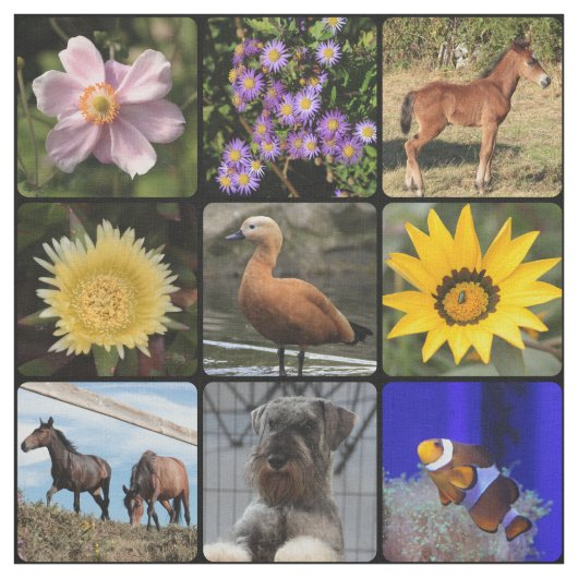 Foto hochladen stoff (Muster)