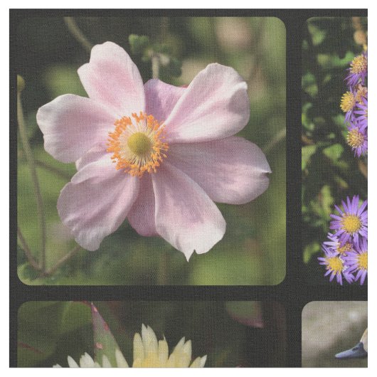 Foto hochladen stoff (Nahaufnahme)