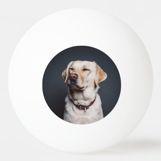 Foto hochladen tischtennisball (Vorderseite)