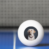 Foto hochladen tischtennisball (Netto)