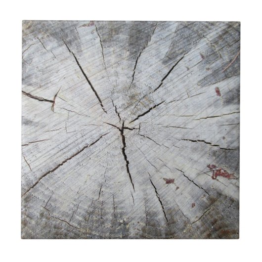 Foto Holzkörner, graue Pine Tree Art 1 Fliese (Vorderseite)