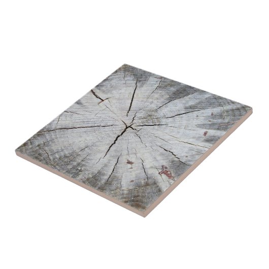 Foto Holzkörner, graue Pine Tree Art 1 Fliese (Seite)