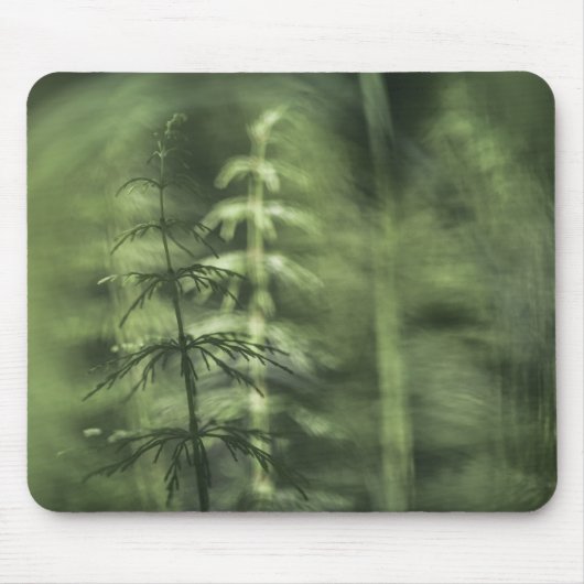 Foto Horsetail Mousepad (Vorne)