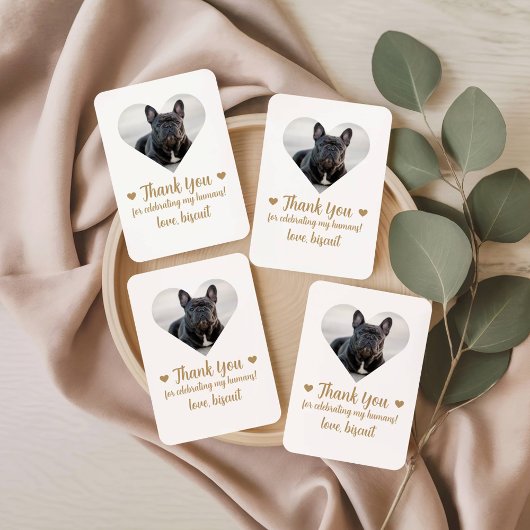 Foto Hunde Gastgeschenk Hochzeit Spielkarten