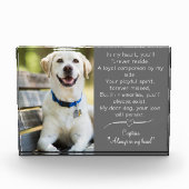 Foto-Hundememorial Fotoblock (Vorderseite)