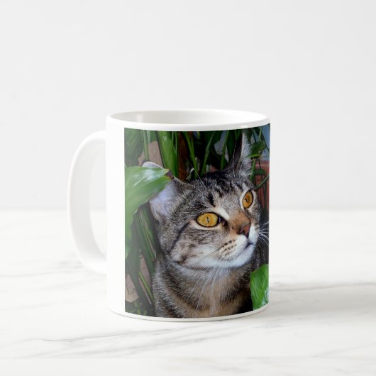 Foto Ihre Hauskatze Kaffee Tasse (Vorderseite Links)