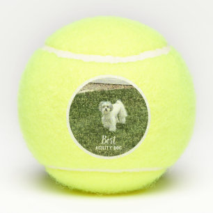 Foto Ihres Hauses Personalisiert mit Text Tennisbälle
