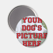 Foto Ihres Hundes individuell angepasst Magnet (Vorderseite/Rückseite)