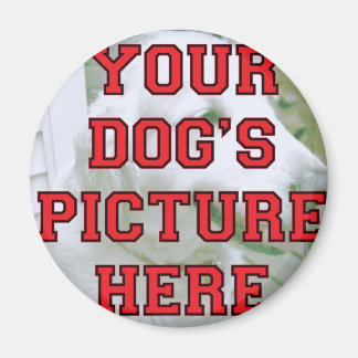 Foto Ihres Hundes individuell angepasst Magnet