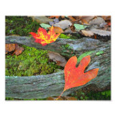 Foto im Herbst (Vorne)