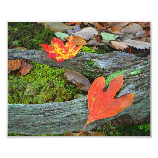 Foto im Herbst (Vorne)