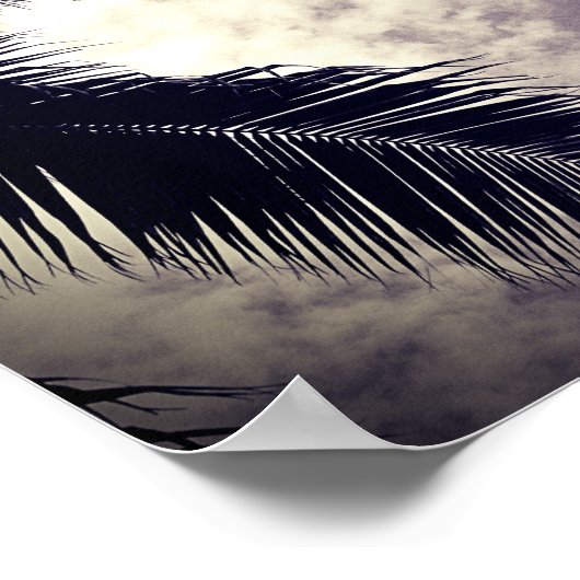 Foto im Schwarz-Weiß-Palmen-Tree-Stil Poster (Ecke)