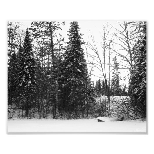 Foto im Winter-Szenenbereich Print BW (Vorne)