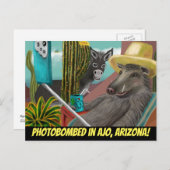 Foto in Ajo Arizona, Arizona Postkarte (Vorne/Hinten)