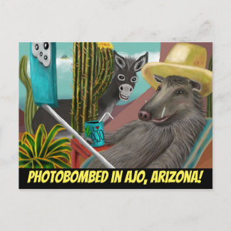 Foto in Ajo Arizona, Arizona Postkarte
