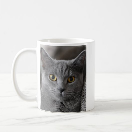 FOTO INDIVIDUELLE KAFFEETASSE KATZE HAUSTIER (Links)