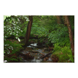 Foto "Iron Horse Trail"