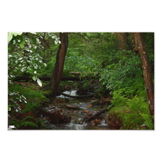 Foto "Iron Horse Trail" (Vorne)