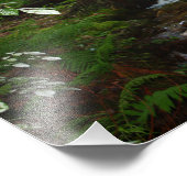 Foto "Iron Horse Trail" (Ecke)