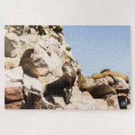 Foto Islas Ballestas, Paracas - Perú Puzzle