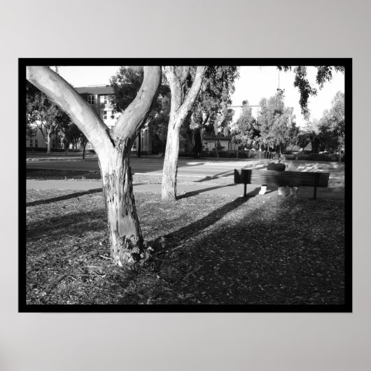Foto IV, Portfolio #5 Poster (Vorne)