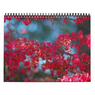 Foto-Kalender 2007 - besonders angefertigt Kalender