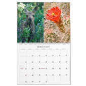 FOTO-KALENDER 2009 KALENDER (Mär 2027)