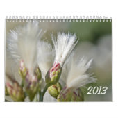 Foto-Kalender 2013 Kalender (Titelbild)