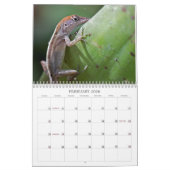 Foto-Kalender 2013 Kalender (Feb 2026)