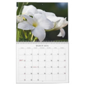 Foto-Kalender 2013 Kalender (Mär 2026)