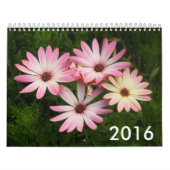Foto-Kalender 2016 Kalender (Titelbild)