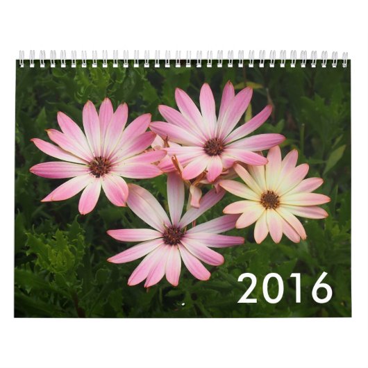 Foto-Kalender 2016 Kalender (Titelbild)