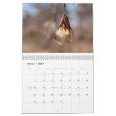 Foto-Kalender 2016 Kalender (Mär 2027)