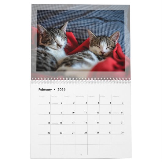 Foto-Kalender 2024: Pelztiere, Haustiere, Hunde, K Kalender (Feb 2026)