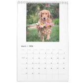 Foto-Kalender 2025 - Starten Sie den neuen Anfang Kalender (Mär 2026)