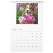 Foto-Kalender 2025 - Starten Sie den neuen Anfang Kalender (Jan 2026)