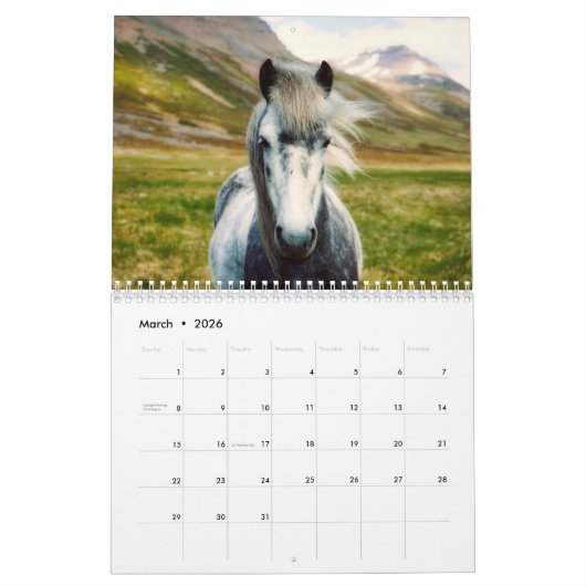 Foto-Kalender 2026 Kalender (Mär 2026)