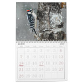 Foto-Kalender für wild lebende Vogelarten Kalender (Mär 2027)